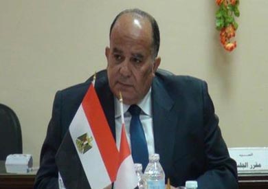 محافظ الدقهلية